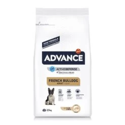 ADVANCE French Bulldog