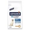 ADVANCE Maxi Adult 2 ADVANCE Maxi Adult -Günstiges Wuff Pflege Geschäft 0045583 advance maxi adult