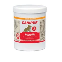 Canipur Hepafit