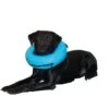 Halskragen Inflatable Buster 1 Halskragen Inflatable Buster -Günstiges Wuff Pflege Geschäft 0046621 halskragen inflatable buster
