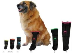 Medipaw Hundeschutzstiefel -Günstiges Wuff Pflege Geschäft 0047022 medipaw hundeschutzstiefel
