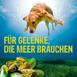 Boehringer Ingelheim Canosan Pellets 10 Boehringer Ingelheim Canosan Pellets -Günstiges Wuff Pflege Geschäft 0048000 boehringer ingelheim canosan pellets