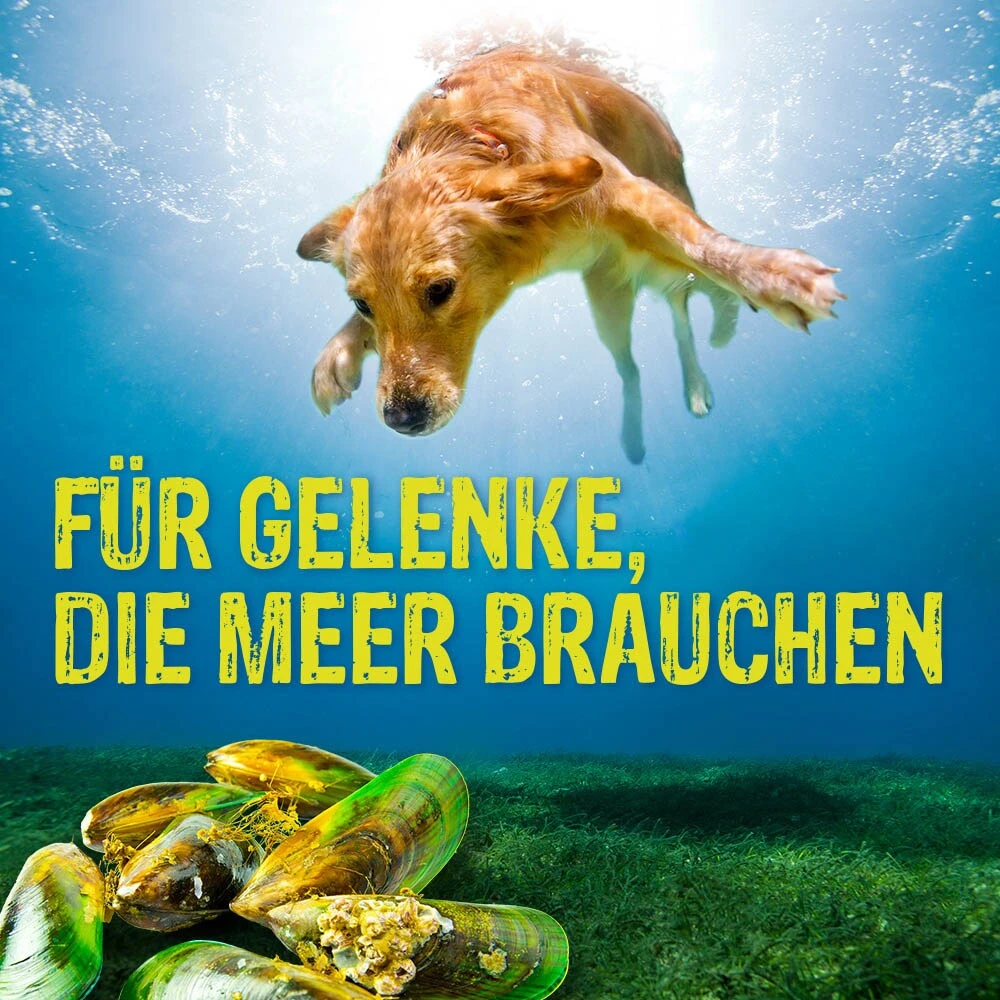 Boehringer Ingelheim Canosan Pellets 5 Boehringer Ingelheim Canosan Pellets – Bild 3