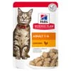 Hills Science Plan Feline Adult Frischebeutel Huhn -Günstiges Wuff Pflege Geschäft 0048155 hills science plan feline adult frischebeutel huhn
