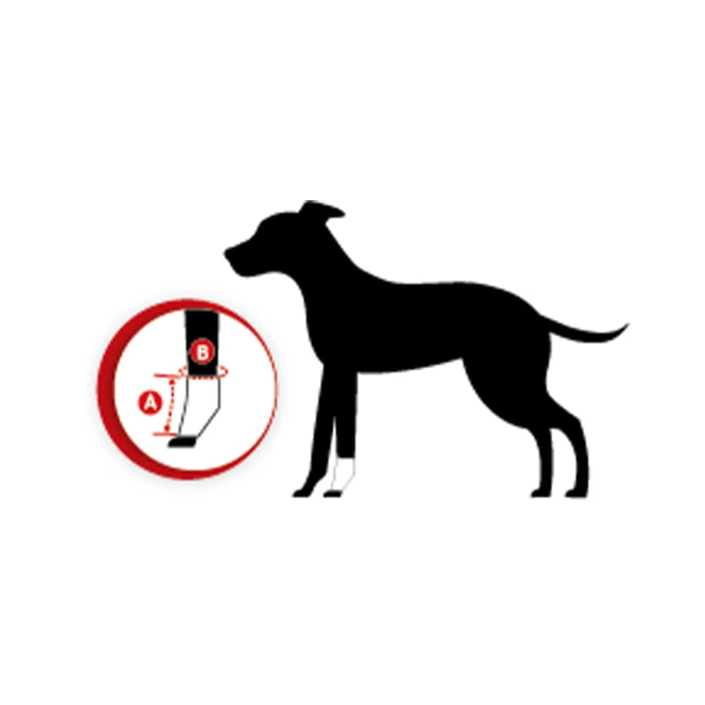 Tierarzt24 Neopren Carpusprotektor 4 Tierarzt24 Neopren Carpusprotektor – Bild 2