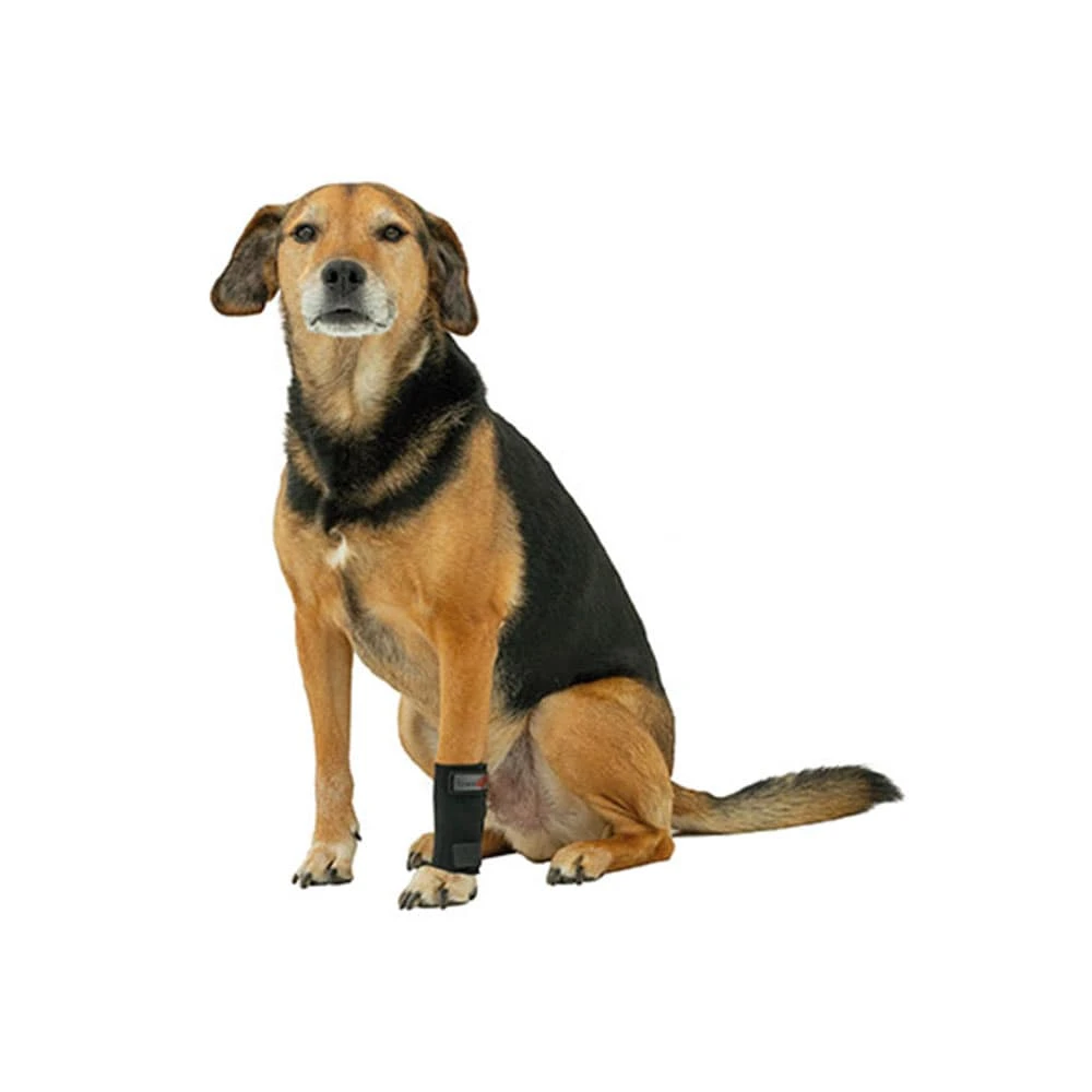 Tierarzt24 Neopren Carpusprotektor 3 Tierarzt24 Neopren Carpusprotektor