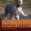 Auf Ins Leben! Grundschulplan Für Welpen