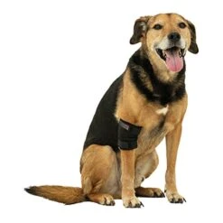 Tierarzt24 Neopren Ellenbogenprotektor