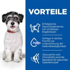 Hills Science Plan Perfect Weight + Active Mobility Hundefutter Small & Mini Adult -Günstiges Wuff Pflege Geschäft 0052937 hills science plan perfect weight active mobility hundefutter small mini adult