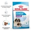 Royal Canin Giant Starter Für Tragende Hündin Und Welpen Großer Rassen -Günstiges Wuff Pflege Geschäft 0052985 royal canin giant starter fur tragende hundin und welpen groser rassen