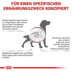 Royal Canin Veterinary Gastrointestinal Trockenfutter Für Hunde -Günstiges Wuff Pflege Geschäft 0053388 royal canin veterinary gastrointestinal trockenfutter fur hunde