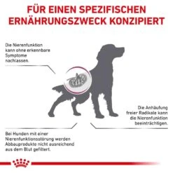 Royal Canin Veterinary Early Renal Trockenfutter Für Hunde -Günstiges Wuff Pflege Geschäft 0053751 royal canin veterinary early renal trockenfutter fur hunde