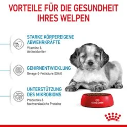 Royal Canin Medium Puppy Trockenfutter Für Welpen Mittelgroßer Hunderassen -Günstiges Wuff Pflege Geschäft 0053770 royal canin medium puppy trockenfutter fur welpen mittelgroser hunderassen