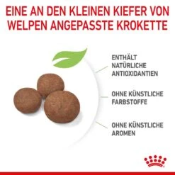 Royal Canin Medium Puppy Trockenfutter Für Welpen Mittelgroßer Hunderassen -Günstiges Wuff Pflege Geschäft 0053773 royal canin medium puppy trockenfutter fur welpen mittelgroser hunderassen