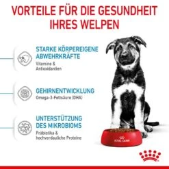 Royal Canin Maxi Puppy Trockenfutter Für Welpen Großer Rassen 12 Royal Canin Maxi Puppy Trockenfutter Für Welpen Großer Rassen -Günstiges Wuff Pflege Geschäft 0053806 royal canin maxi puppy trockenfutter fur welpen groser rassen
