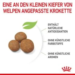 Royal Canin Giant Puppy Trockenfutter Für Welpen Sehr Großer Rassen -Günstiges Wuff Pflege Geschäft 0053833 royal canin giant puppy trockenfutter fur welpen sehr groser rassen