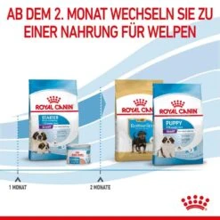 Royal Canin Giant Starter Für Tragende Hündin Und Welpen Großer Rassen -Günstiges Wuff Pflege Geschäft 0053854 royal canin giant starter fur tragende hundin und welpen groser rassen