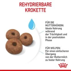 Royal Canin Giant Starter Für Tragende Hündin Und Welpen Großer Rassen -Günstiges Wuff Pflege Geschäft 0053859 royal canin giant starter fur tragende hundin und welpen groser rassen