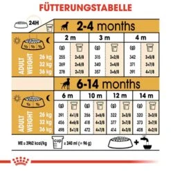 Royal Canin Boxer Puppy Welpenfutter Trocken -Günstiges Wuff Pflege Geschäft 0054561 royal canin boxer puppy welpenfutter trocken