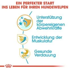 Royal Canin Boxer Puppy Welpenfutter Trocken -Günstiges Wuff Pflege Geschäft 0054562 royal canin boxer puppy welpenfutter trocken