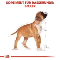 Royal Canin Boxer Puppy Welpenfutter Trocken -Günstiges Wuff Pflege Geschäft 0054568 royal canin boxer puppy welpenfutter trocken
