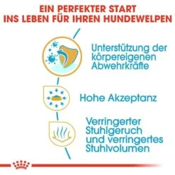 Royal Canin Chihuahua Puppy Welpenfutter Trocken -Günstiges Wuff Pflege Geschäft 0054570 royal canin chihuahua puppy welpenfutter trocken