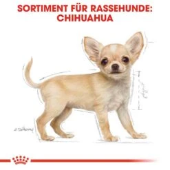 Royal Canin Chihuahua Puppy Welpenfutter Trocken -Günstiges Wuff Pflege Geschäft 0054575 royal canin chihuahua puppy welpenfutter trocken