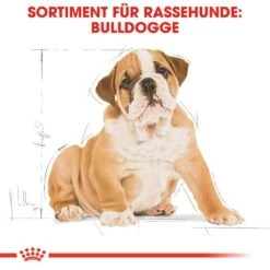 Royal Canin Bulldog Puppy Welpenfutter Trocken -Günstiges Wuff Pflege Geschäft 0054578 royal canin bulldog puppy welpenfutter trocken