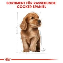 Royal Canin Cocker Puppy Welpenfutter Trocken -Günstiges Wuff Pflege Geschäft 0054585 royal canin cocker puppy welpenfutter trocken