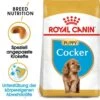 Royal Canin Cocker Puppy Welpenfutter Trocken -Günstiges Wuff Pflege Geschäft 0054587 royal canin cocker puppy welpenfutter trocken