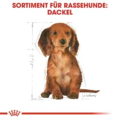Royal Canin Dachshund Puppy Welpenfutter Trocken -Günstiges Wuff Pflege Geschäft 0054597 royal canin dachshund puppy welpenfutter trocken