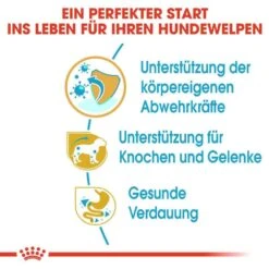 Royal Canin Dachshund Puppy Welpenfutter Trocken -Günstiges Wuff Pflege Geschäft 0054598 royal canin dachshund puppy welpenfutter trocken