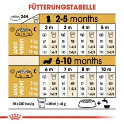 Royal Canin Dachshund Puppy Welpenfutter Trocken -Günstiges Wuff Pflege Geschäft 0054599 royal canin dachshund puppy welpenfutter trocken