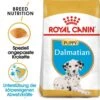 Royal Canin Dalmatian Puppy Welpenfutter -Günstiges Wuff Pflege Geschäft 0054609 royal canin dalmatian puppy welpenfutter