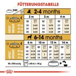 Royal Canin Dalmatian Puppy Welpenfutter 16 Royal Canin Dalmatian Puppy Welpenfutter -Günstiges Wuff Pflege Geschäft 0054610 royal canin dalmatian puppy welpenfutter