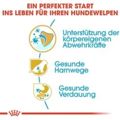 Royal Canin Dalmatian Puppy Welpenfutter 13 Royal Canin Dalmatian Puppy Welpenfutter -Günstiges Wuff Pflege Geschäft 0054611 royal canin dalmatian puppy welpenfutter