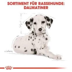 Royal Canin Dalmatian Puppy Welpenfutter 15 Royal Canin Dalmatian Puppy Welpenfutter -Günstiges Wuff Pflege Geschäft 0054616 royal canin dalmatian puppy welpenfutter