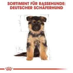 Royal Canin German Shepherd Puppy Welpenfutter Trocken -Günstiges Wuff Pflege Geschäft 0054620 royal canin german shepherd puppy welpenfutter trocken
