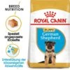 Royal Canin German Shepherd Puppy Welpenfutter Trocken -Günstiges Wuff Pflege Geschäft 0054622 royal canin german shepherd puppy welpenfutter trocken