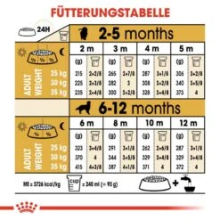 Royal Canin Golden Retriever Puppy Welpenfutter Trocken -Günstiges Wuff Pflege Geschäft 0054625 royal canin golden retriever puppy welpenfutter trocken