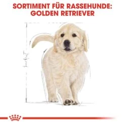 Royal Canin Golden Retriever Puppy Welpenfutter Trocken -Günstiges Wuff Pflege Geschäft 0054629 royal canin golden retriever puppy welpenfutter trocken