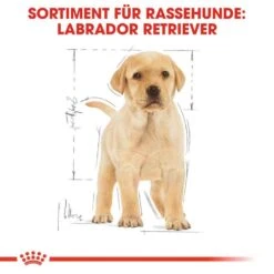 Royal Canin Labrador Retriever Puppy Welpenfutter Trocken -Günstiges Wuff Pflege Geschäft 0054644 royal canin labrador retriever puppy welpenfutter trocken