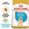 Royal Canin Labrador Retriever Puppy Welpenfutter Trocken -Günstiges Wuff Pflege Geschäft 0054646 royal canin labrador retriever puppy welpenfutter trocken