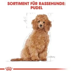 Royal Canin Poodle Puppy Welpenfutter -Günstiges Wuff Pflege Geschäft 0054650 royal canin poodle puppy welpenfutter