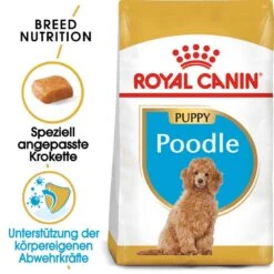 Royal Canin Poodle Puppy Welpenfutter