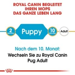 Royal Canin Pug Puppy Welpenfutter Trocken -Günstiges Wuff Pflege Geschäft 0054658 royal canin pug puppy welpenfutter trocken