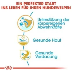 Royal Canin Pug Puppy Welpenfutter Trocken -Günstiges Wuff Pflege Geschäft 0054663 royal canin pug puppy welpenfutter trocken