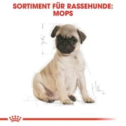 Royal Canin Pug Puppy Welpenfutter Trocken -Günstiges Wuff Pflege Geschäft 0054664 royal canin pug puppy welpenfutter trocken