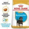 Royal Canin Rottweiler Puppy Hunde -Günstiges Wuff Pflege Geschäft 0054665 royal canin rottweiler puppy hunde
