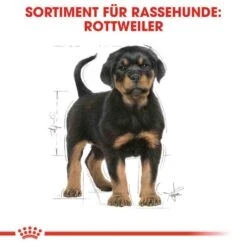 Royal Canin Rottweiler Puppy Hunde -Günstiges Wuff Pflege Geschäft 0054667 royal canin rottweiler puppy hunde